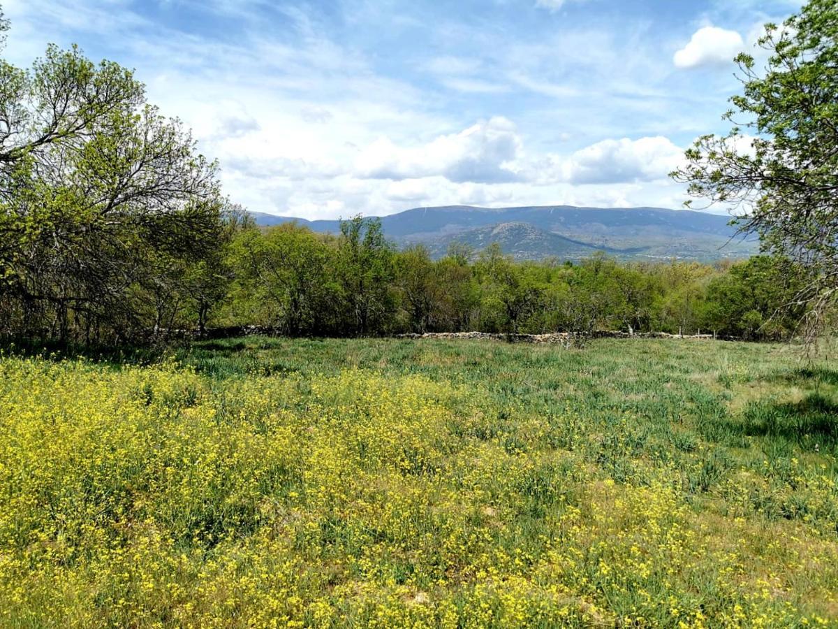 Garganta De Los Montes Acogedora Y Romantica Casita En La Sierra מראה חיצוני תמונה