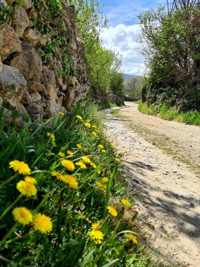 Garganta De Los Montes Acogedora Y Romantica Casita En La Sierra מראה חיצוני תמונה